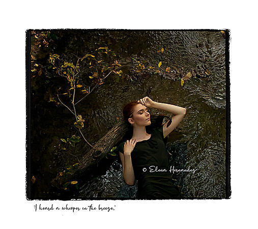 web_EHP_I heard a whisper in the breeze
